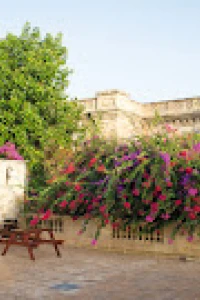 Sprachcaffe Language Plus - Malta facilities, English language school in Pembroke, Malta 4